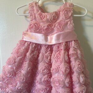 Pink American Princess Rose Party Dress 12 Month